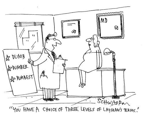 'You have a choice of three levels of laymans terms.'