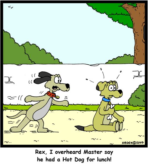 Rex, I overheard Master say he had a Hot Dog for lunch!