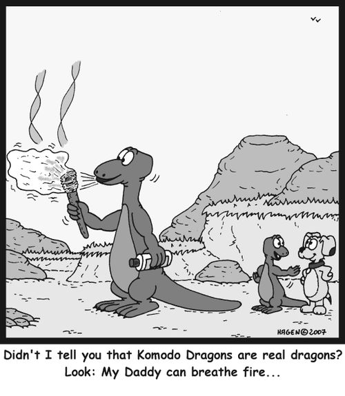 Didn't I tell you that Komodo Dragons are real dragons? Look: My Daddy can breathe fire...