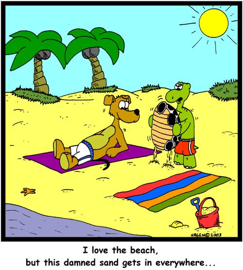'I love the beach, but this damned sand gets in everywhere...'