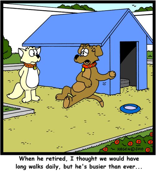 'When he retired, I thought we would have long walks daily, but he's busier than ever...'