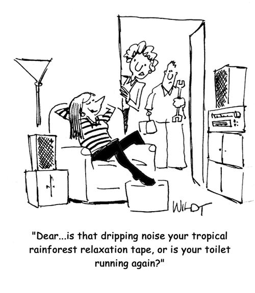 'Dear...is that dripping noise your tropical rainforest relaxation tape, or is your toilet running again?'