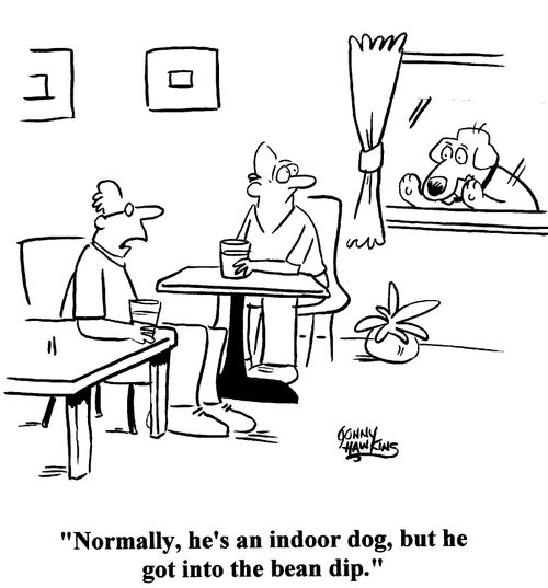 'Normally, he's an indoor dog, but he got into the bean dip.'