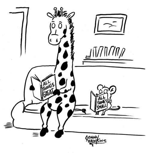 Giraffe and mouse reading books: 'All Things Great' and 'All Things Small'.