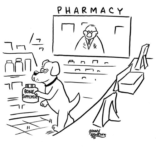 Dog exiting pharmacy with bone supplement.