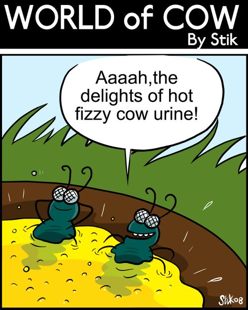 Ahhh, the delights of hot fizzy cow urine!