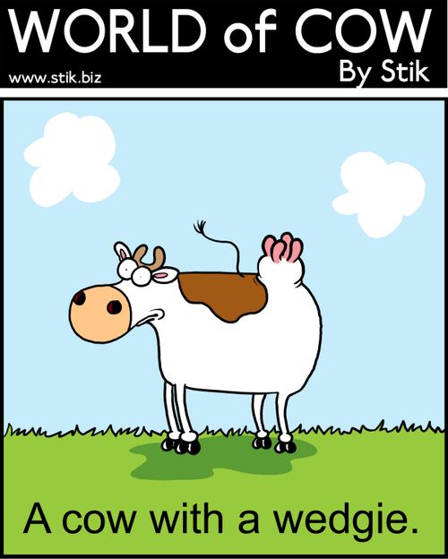 A cow with a wedgie.