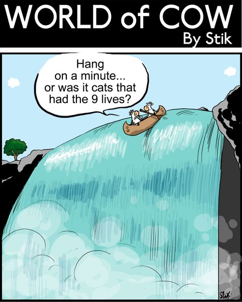 2 cows in a boat, about to go over a waterfall: Hang on a minute...or was it cats that had the 9 lives?