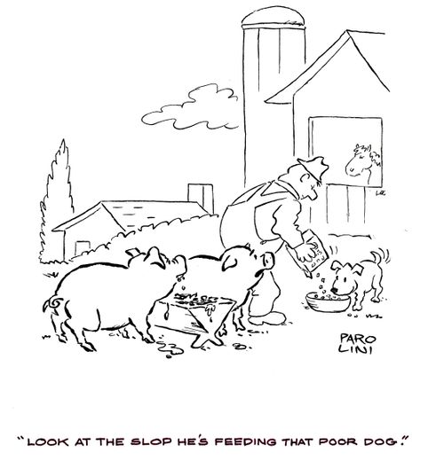 'Look at the slop he's feeding that poor dog.'