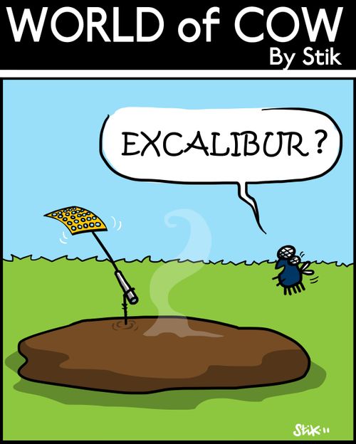 EXCALIBUR?