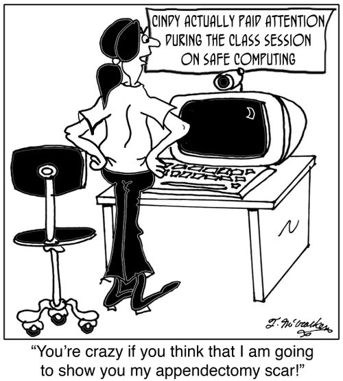 'Cindy Actually Paid Attention During the Class Session on Safe Computing.' A kid standing in front of a computer camera says, 'You're crazy if you think I'm going to show you my appendectomy scar.