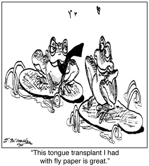 'This tongue transplant I had with fly paper is great.'