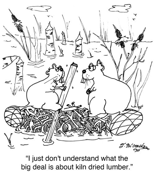 'I just don't understand what the big deal is about kiln dried lumber.'