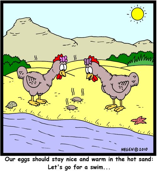 'Our eggs should stay nice and warm in the hot sand: Let's go for a swim...'