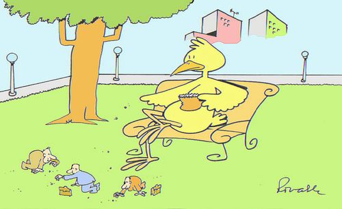 Bird feeding humans in a park.