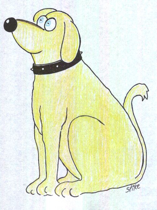 Labrador.