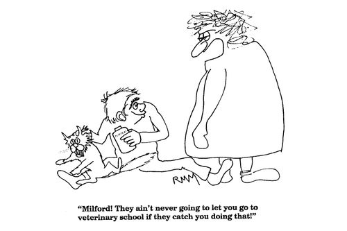 'Milford! They ain't never going to let you go to veterinary school...