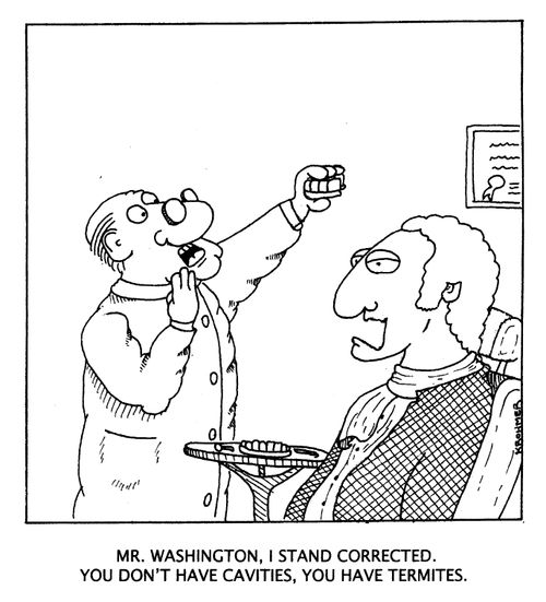 ...I stand corrected. You don't have cavities, you have termites.