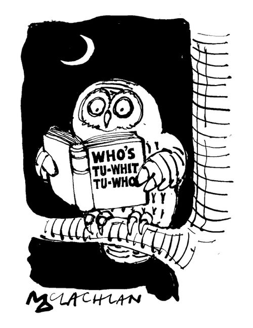 Owl reading 'Who's tu-whit tu-who'