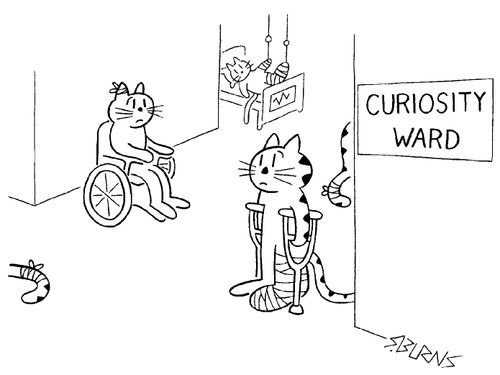 Curiosity Ward