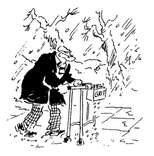 Zimmer Frame in Winter