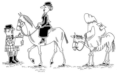 Horse Rider