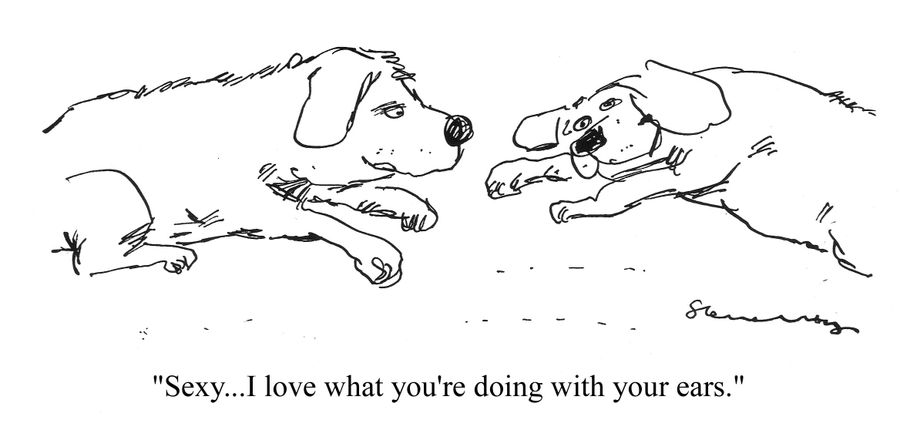'Sexy...I love what you're doing with your ears.'