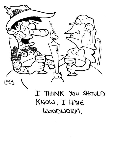 'I think you should know, I have woodworm'.