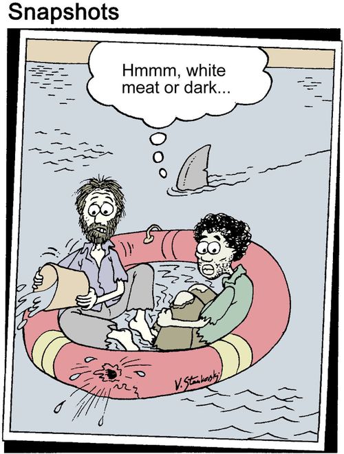 Shark thinks: 'White meat or dark...'
