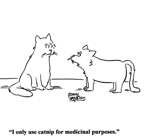 'I only use catnip for medicinal purposes.'
