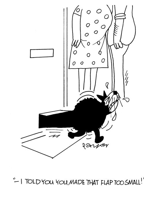 '-I told you you made that cat flap too small!'