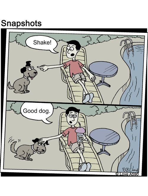 'Shake!...Good dog.'
