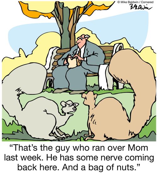 'That's the guy who ran over Mom last week. He has some nerve coming back here. And a bag of nuts.'