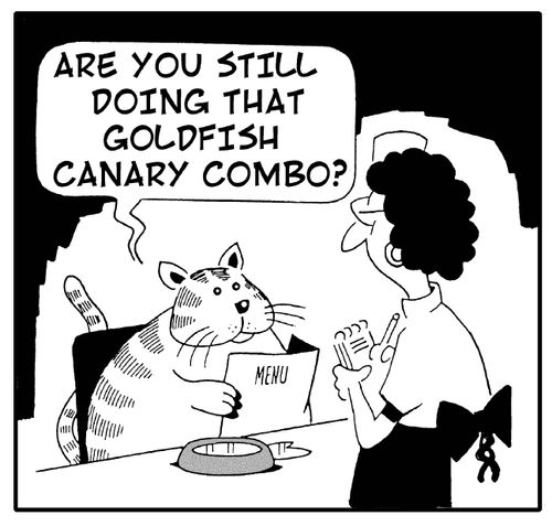 'Are you still doing that goldfish canary combo?'