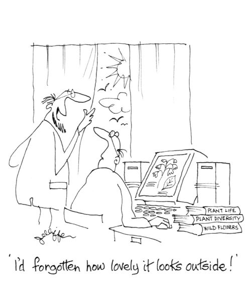 'I'd forgotten how lovely it looks outside!'