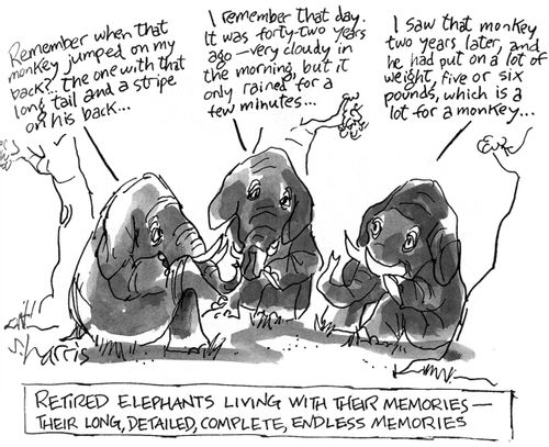 Retired Elephants living with their memories - their long, detailed, complete, endless memories...