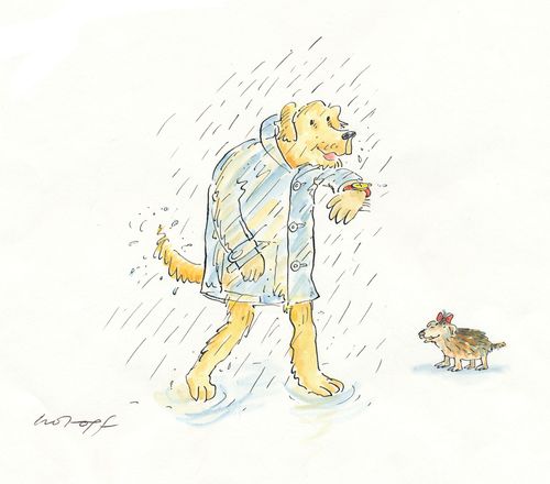 Dog in the Rain.