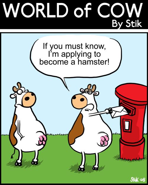 'If you must know, I'm applying to become a hamster!'