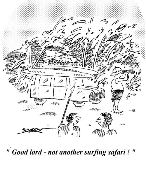 "Good lord - not another Surfing Safari!"