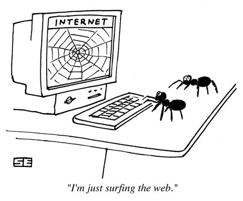 'I'm just surfing the web.'
