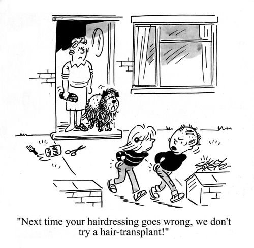 'Next time your hairdressing goes wrong, we don't try a hair transplant!'