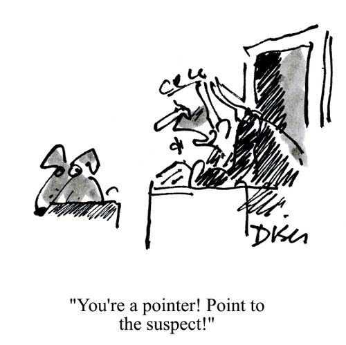'You're a pointer! Point to the suspect!'