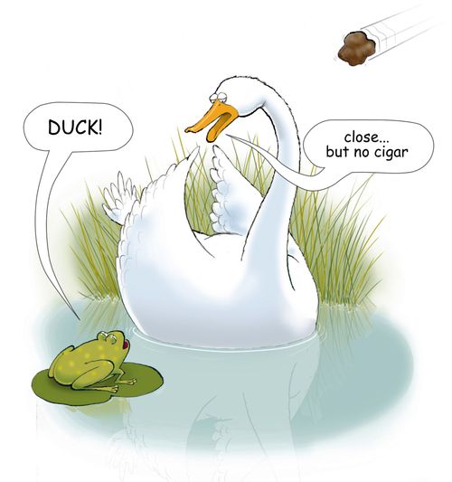 'Duck.'