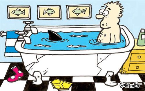 Bathtime with a shark.