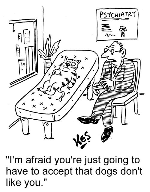 'I'm afraid you're just going to have to accept that dogs just don't like you.'
