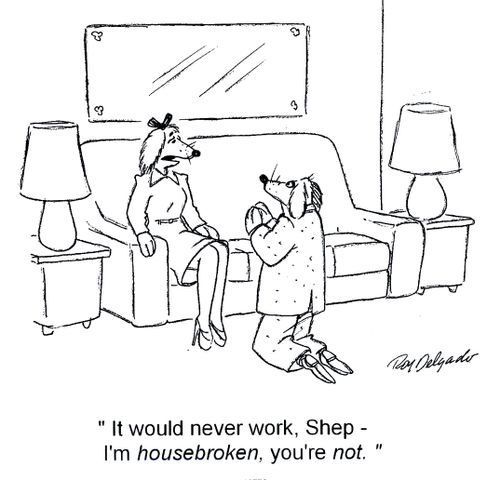 'It would never work, Shep - I'm housebroken, you're not.'