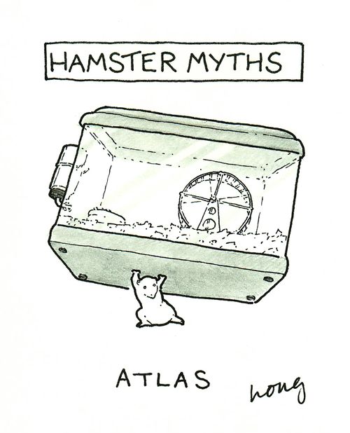 Hamster Myths