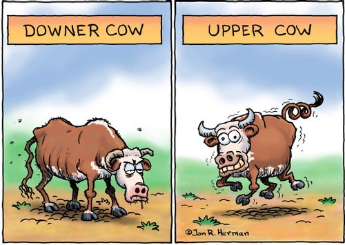 Downer Cow/Upper Cow; Color