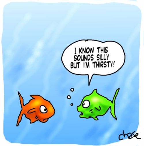 Thirsty Fish.