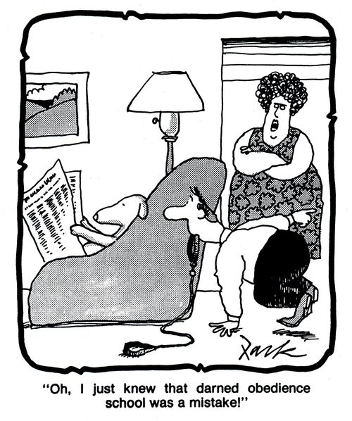 'Oh, I just knew that darned obedience school was a mistake!'